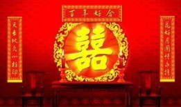 台儿庄金币爆料视频大全,揭秘珍贵历史货币背后的故事